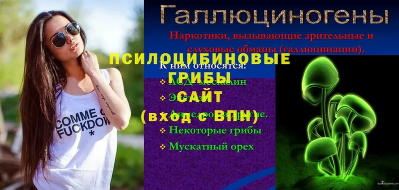 купить   Красноярск  Галлюциногенные грибы мухоморы 